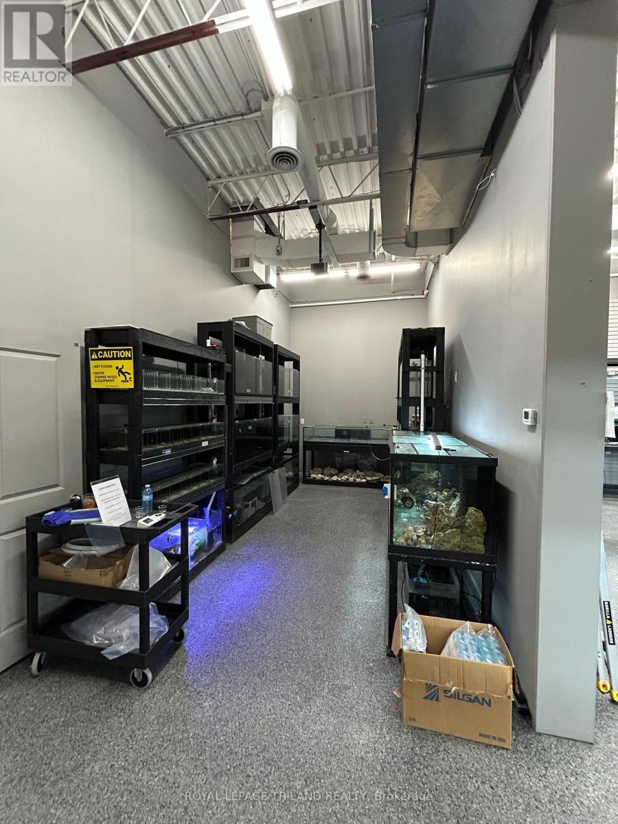 5-6 - 99 Belmont Drive, London South, Ontario  N6J 4K2 - Photo 9 - X12696788