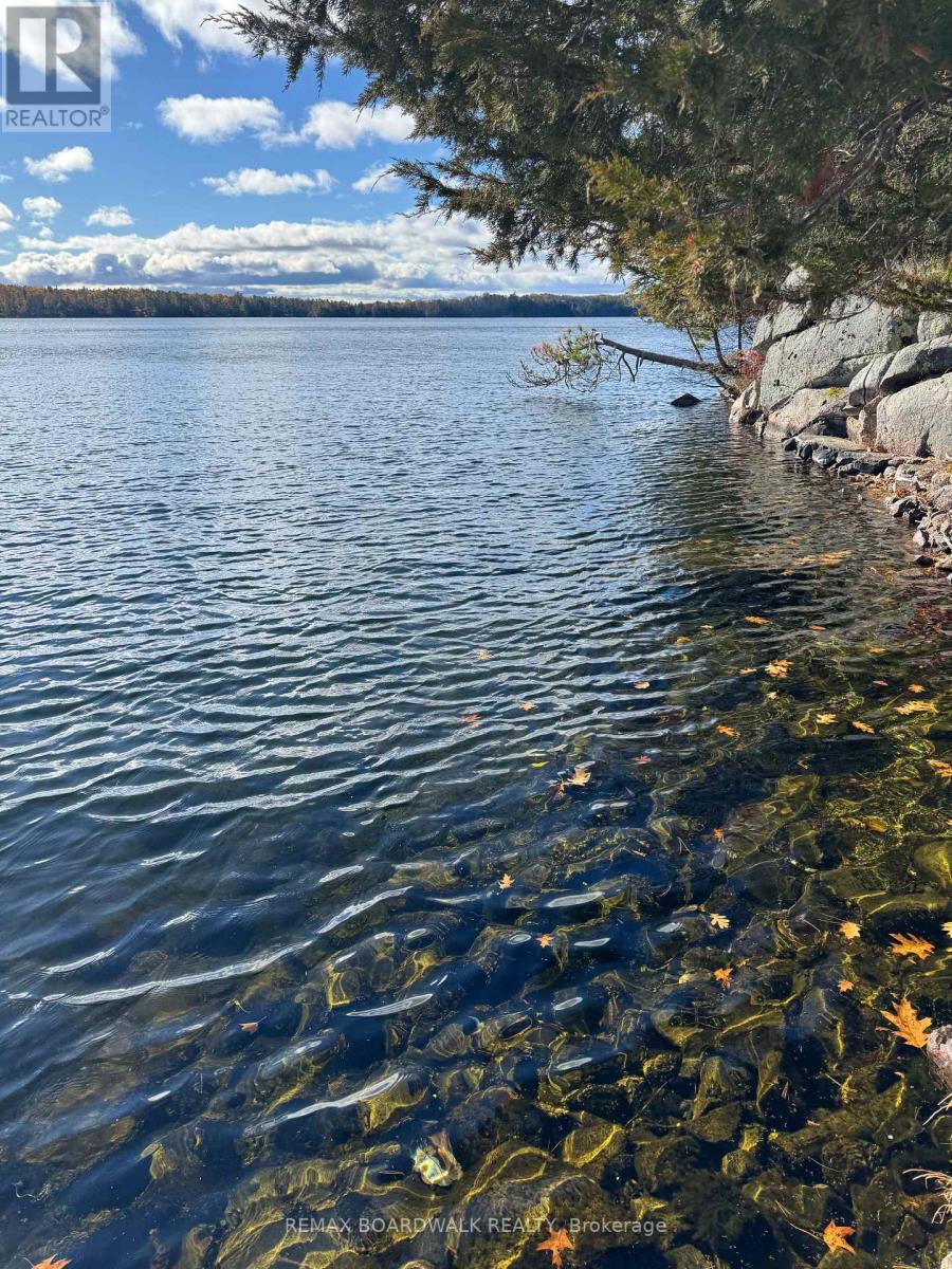 202 Folly Road, Rideau Lakes, Ontario  K0G 1E0 - Photo 45 - X12602434