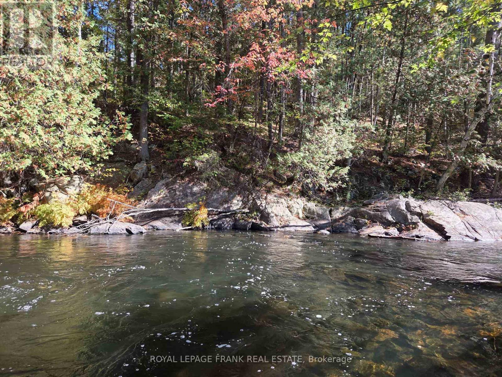 8847 Highway 28, North Kawartha, Ontario  K0L 1A0 - Photo 23 - X12677536