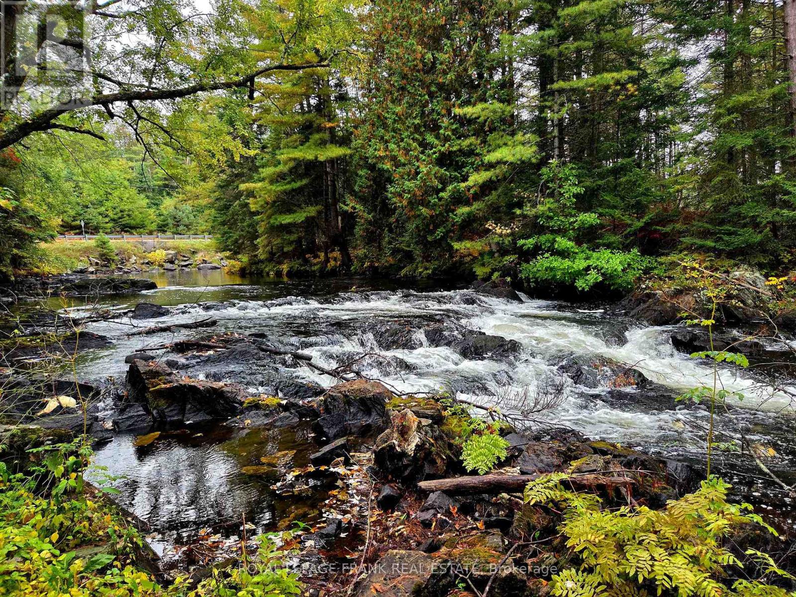 8847 Highway 28, North Kawartha, Ontario  K0L 1A0 - Photo 26 - X12677536