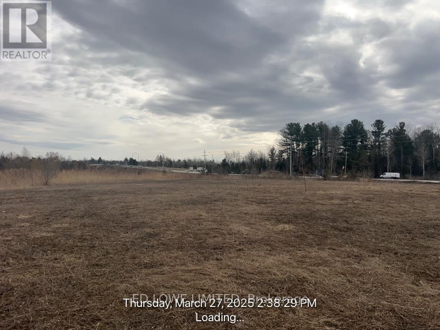 2305 Cassell Drive, Springwater (Hillsdale), Ontario  L0L 1V0 - Photo 2 - S12697212