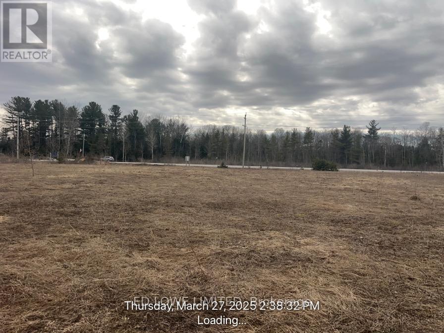 2305 Cassell Drive, Springwater (Hillsdale), Ontario  L0L 1V0 - Photo 3 - S12697212