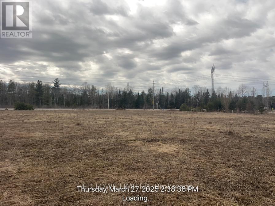 2305 Cassell Drive, Springwater (Hillsdale), Ontario  L0L 1V0 - Photo 4 - S12697212