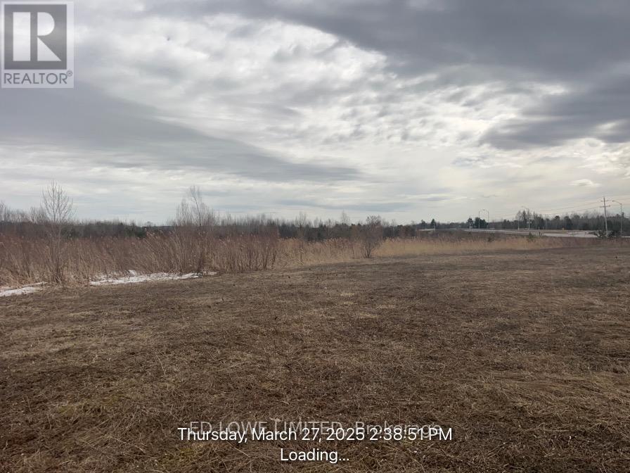 2305 Cassell Drive, Springwater (Hillsdale), Ontario  L0L 1V0 - Photo 6 - S12697212