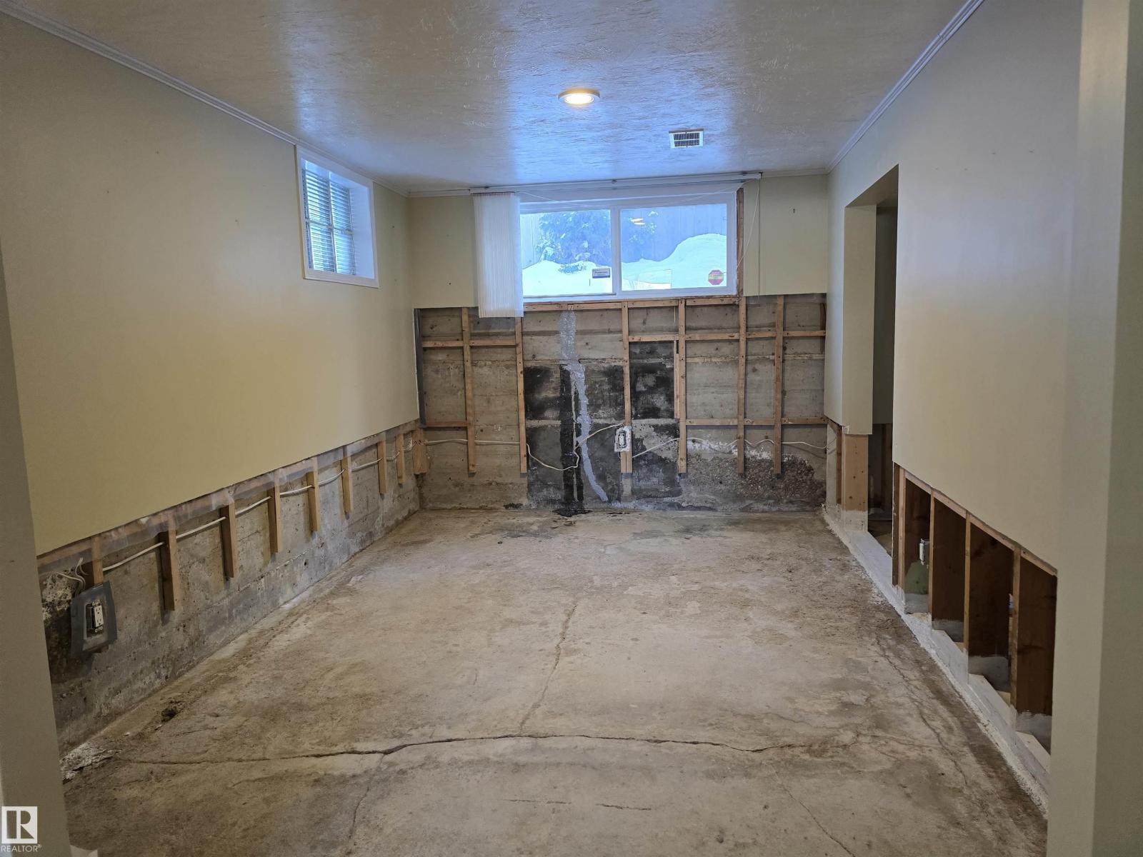 11303 113a Av Nw Nw, Edmonton, Alberta  T5G 0K1 - Photo 39 - E4469912