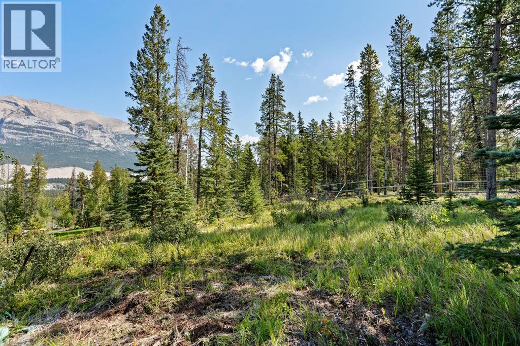 232 Stewart Creek Rise, Canmore, Alberta  T1W 0L8 - Photo 44 - A2252436