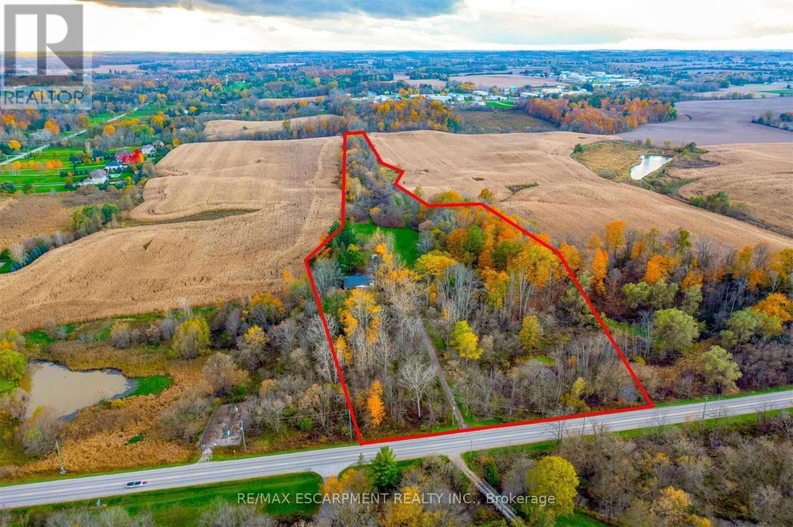 183 Main Street S, Brant, Ontario  N0E 1N0 - Photo 4 - X12697322