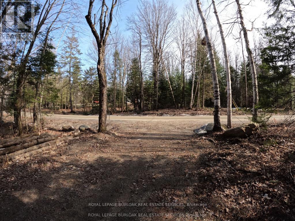 50 Concession 2 And 3 Road W, Huntsville, Ontario  P1H 2J3 - Photo 10 - X12697412