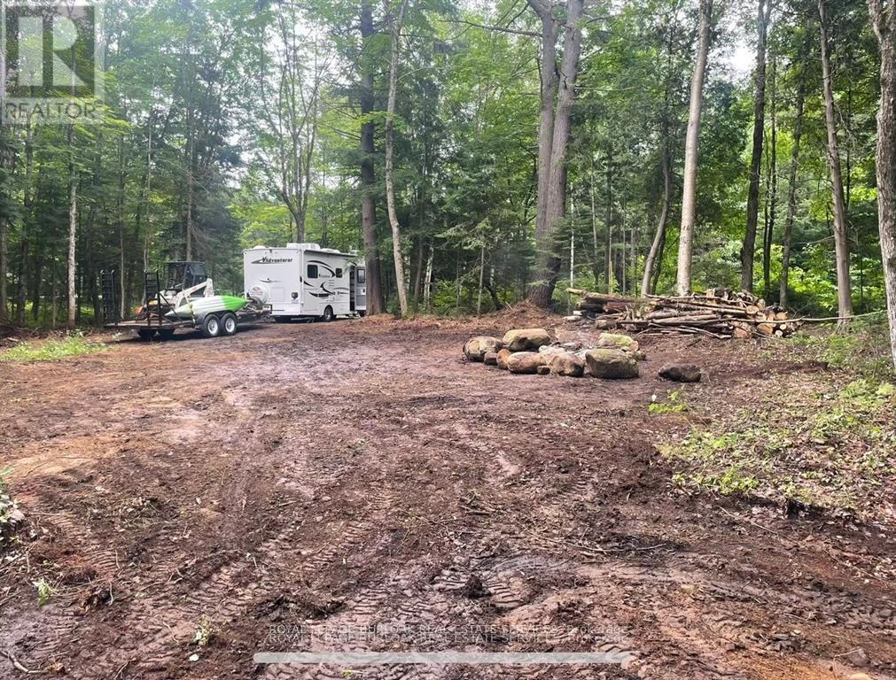 50 Concession 2 And 3 Road W, Huntsville, Ontario  P1H 2J3 - Photo 11 - X12697412