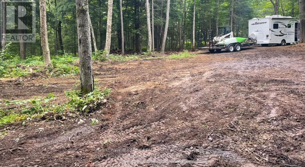 50 Concession 2 And 3 Road W, Huntsville, Ontario  P1H 2J3 - Photo 12 - X12697412