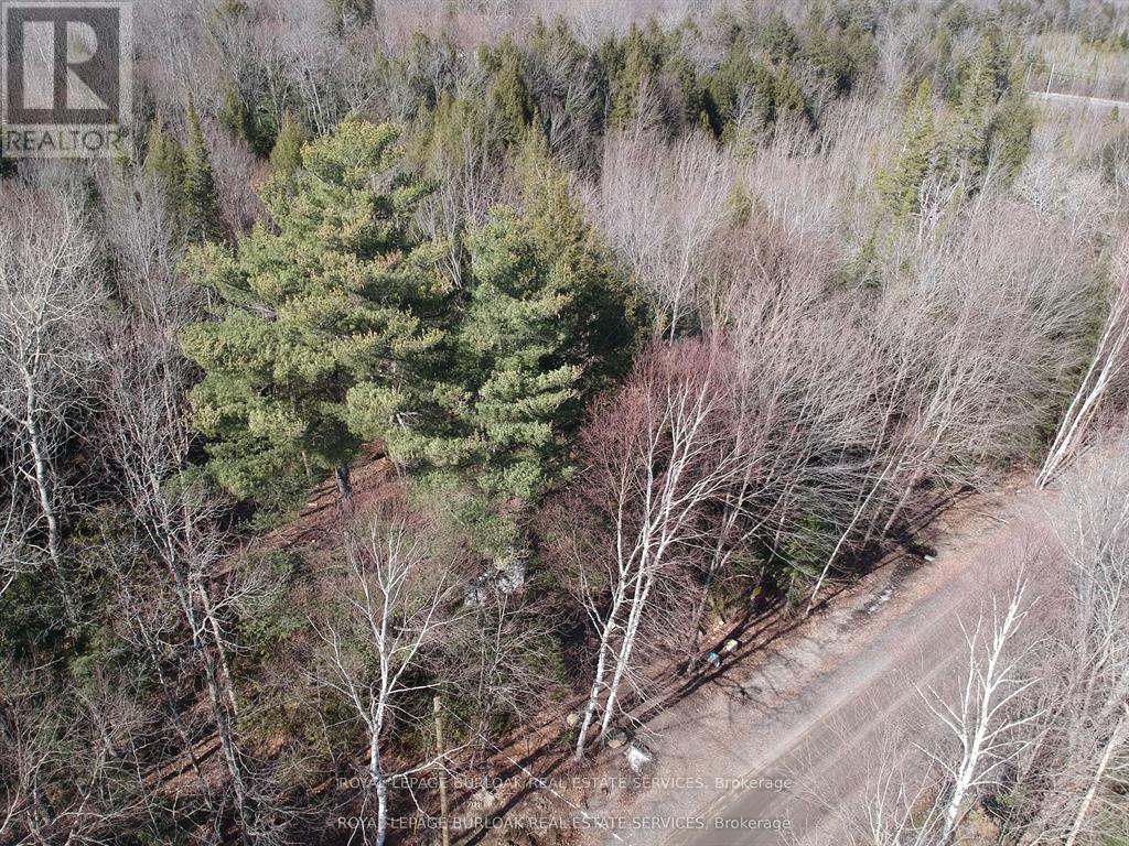 50 Concession 2 And 3 Road W, Huntsville, Ontario  P1H 2J3 - Photo 2 - X12697412