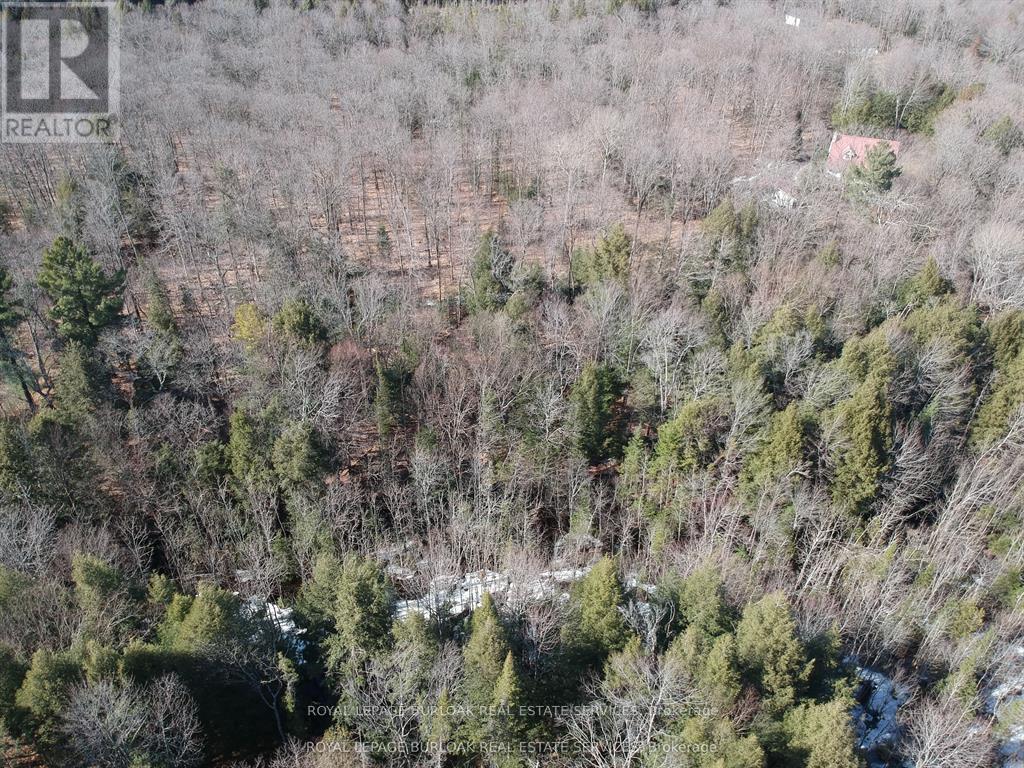 50 Concession 2 And 3 Road W, Huntsville, Ontario  P1H 2J3 - Photo 3 - X12697412