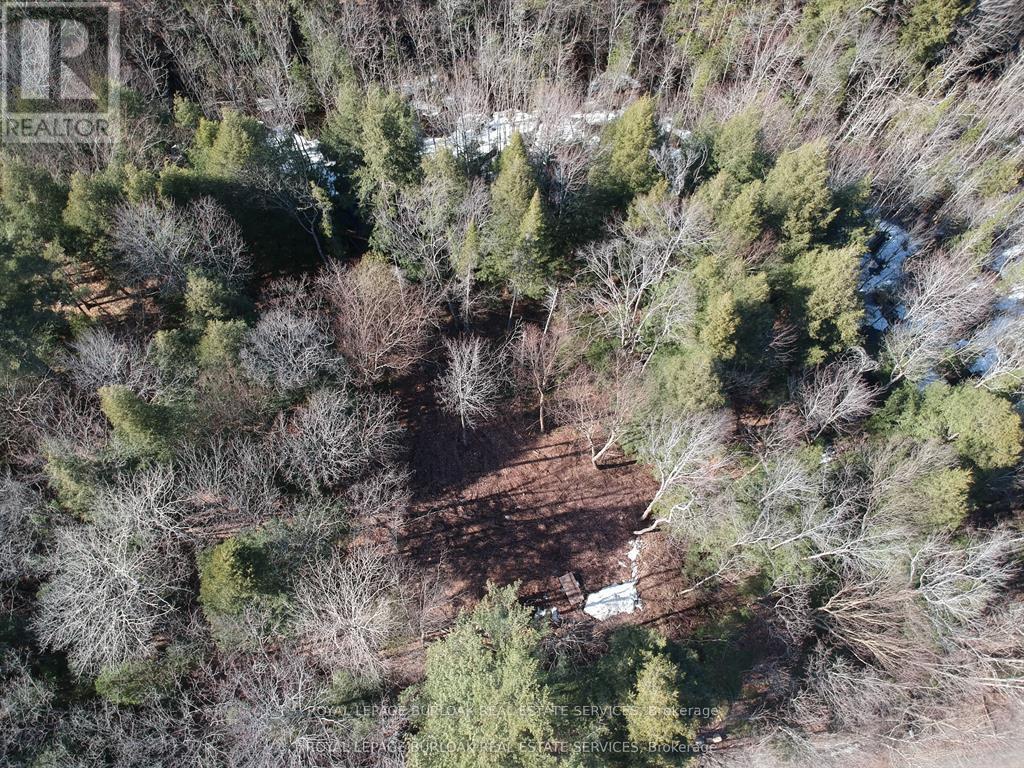 50 Concession 2 And 3 Road W, Huntsville, Ontario  P1H 2J3 - Photo 4 - X12697412