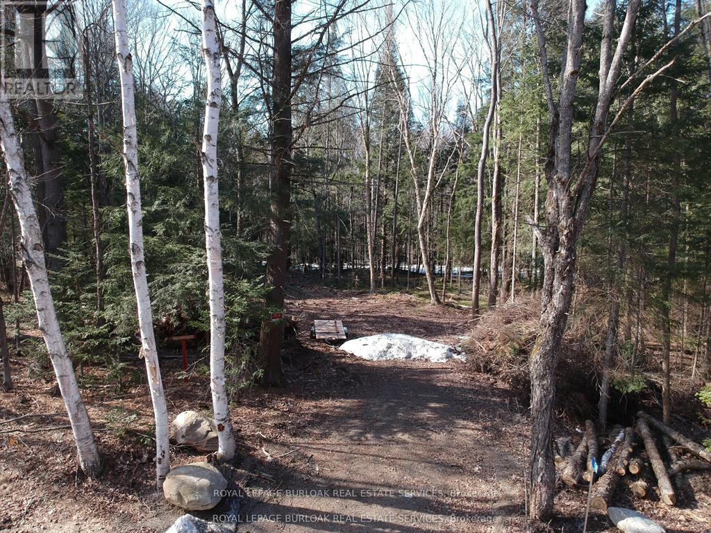 50 Concession 2 And 3 Road W, Huntsville, Ontario  P1H 2J3 - Photo 5 - X12697412