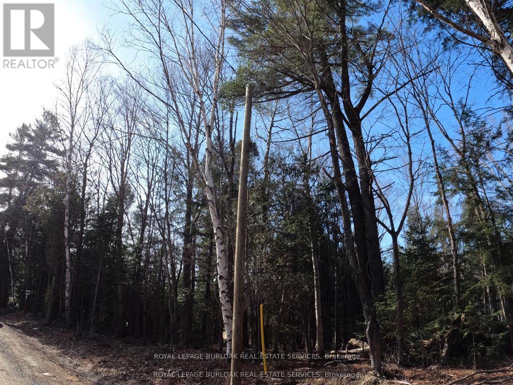 50 Concession 2 And 3 Road W, Huntsville, Ontario  P1H 2J3 - Photo 6 - X12697412