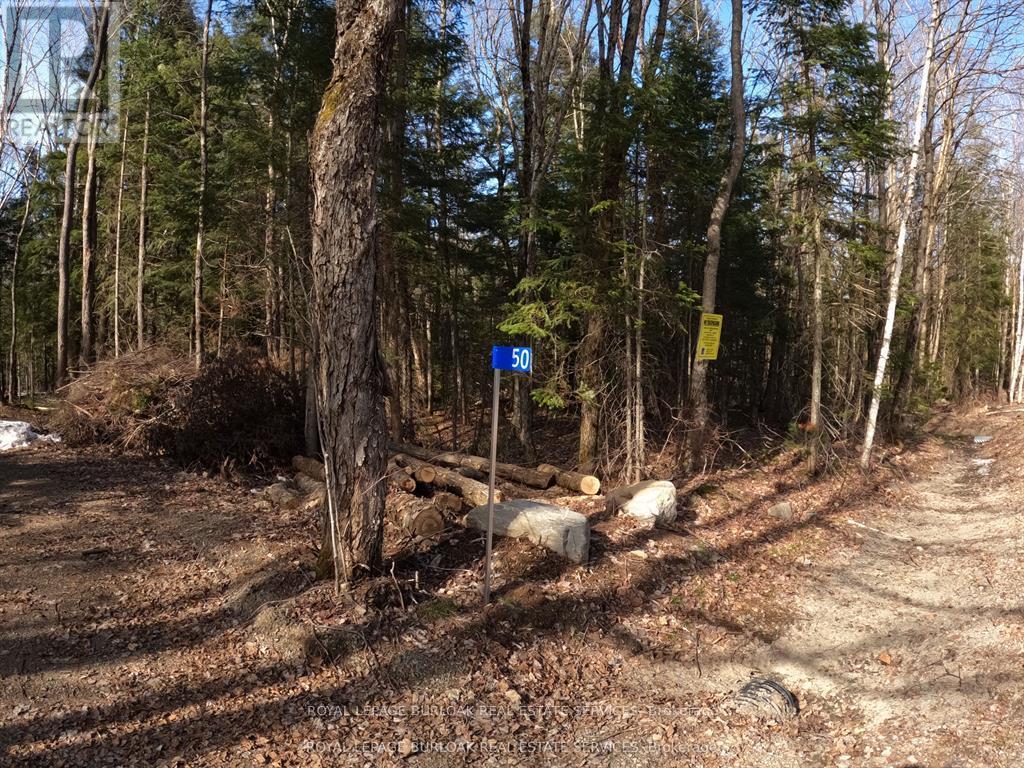 50 Concession 2 And 3 Road W, Huntsville, Ontario  P1H 2J3 - Photo 7 - X12697412