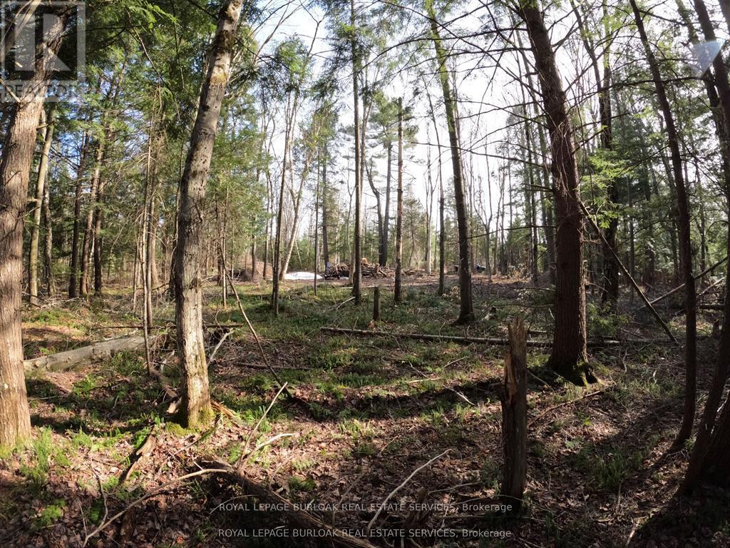 50 Concession 2 And 3 Road W, Huntsville, Ontario  P1H 2J3 - Photo 9 - X12697412