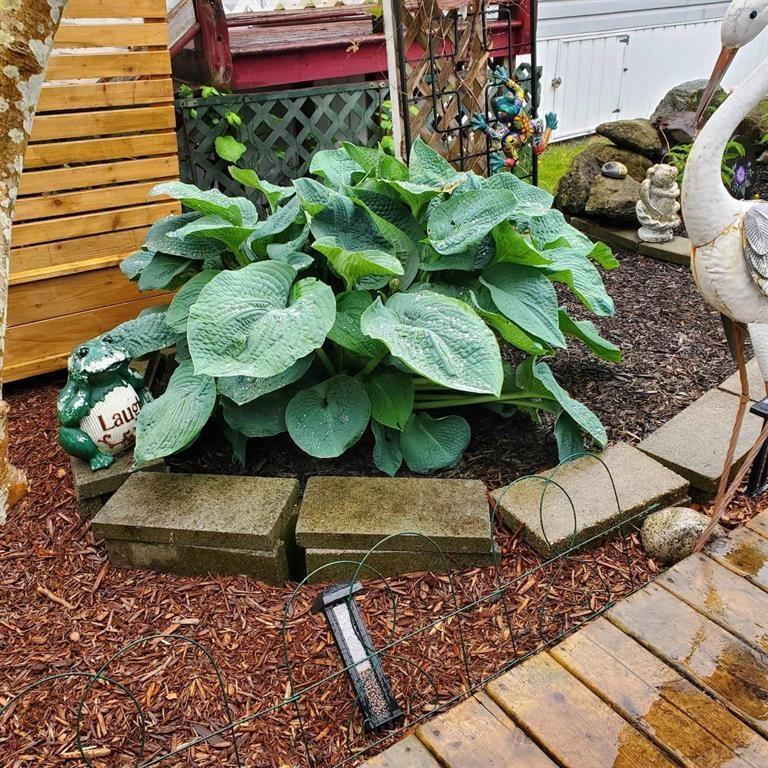 91 3300 Horn Street, Abbotsford, British Columbia  V2S 7Y6 - Photo 22 - R3078591