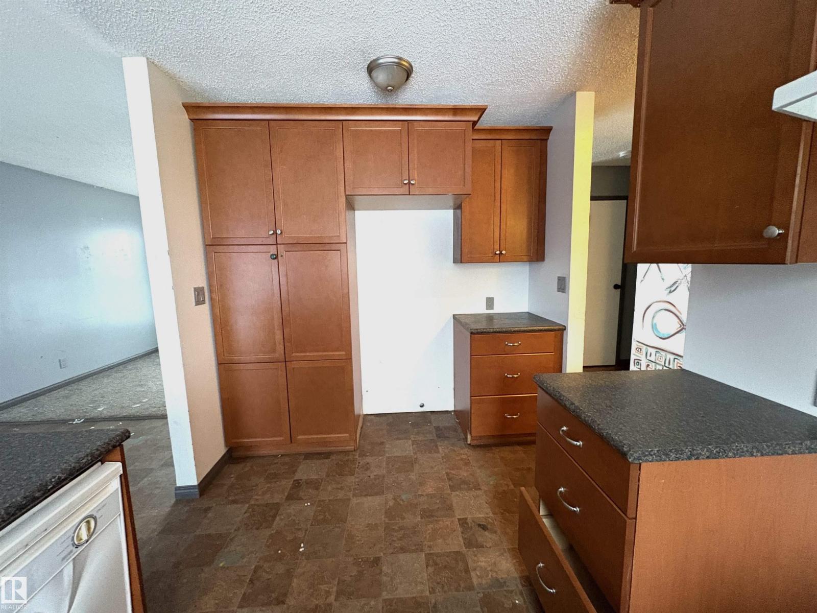 4418 45 Av, Bonnyville Town, Alberta  T9N 1X5 - Photo 6 - E4470042