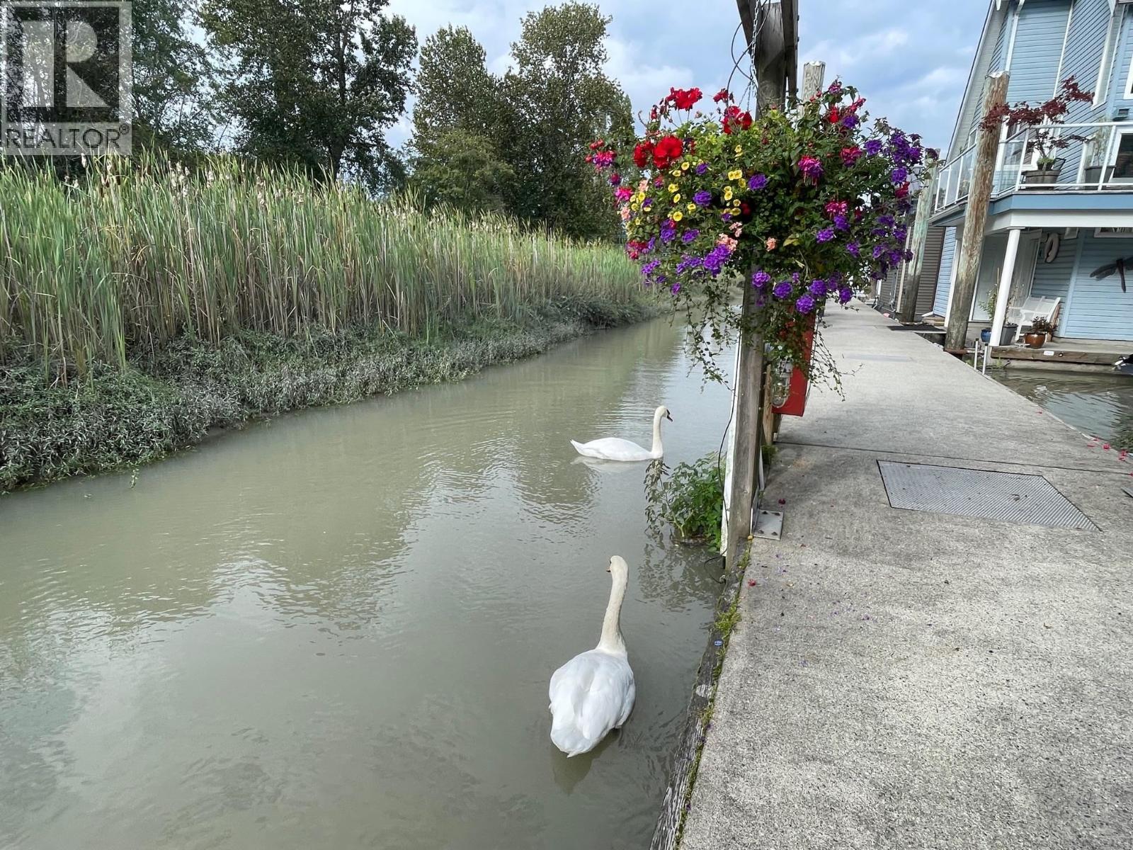 4 800 South Dyke Road, New Westminster, British Columbia  V3M 4Z8 - Photo 16 - R3079681