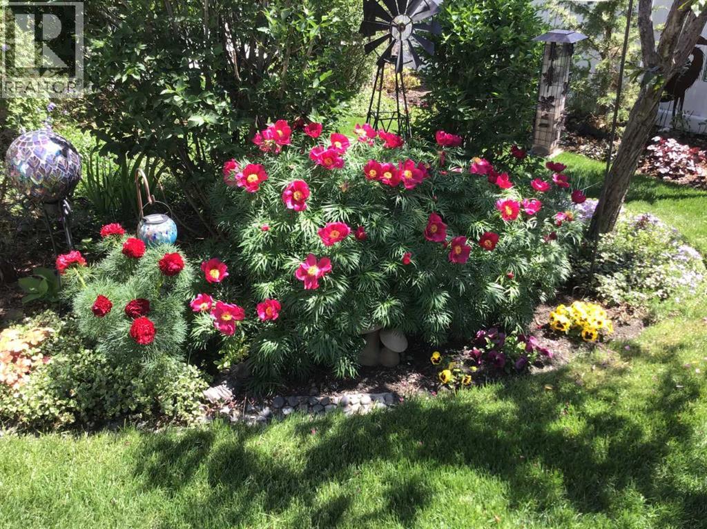 252 Citadel Park Nw, Calgary, Alberta  T3G 3X8 - Photo 43 - A2277232