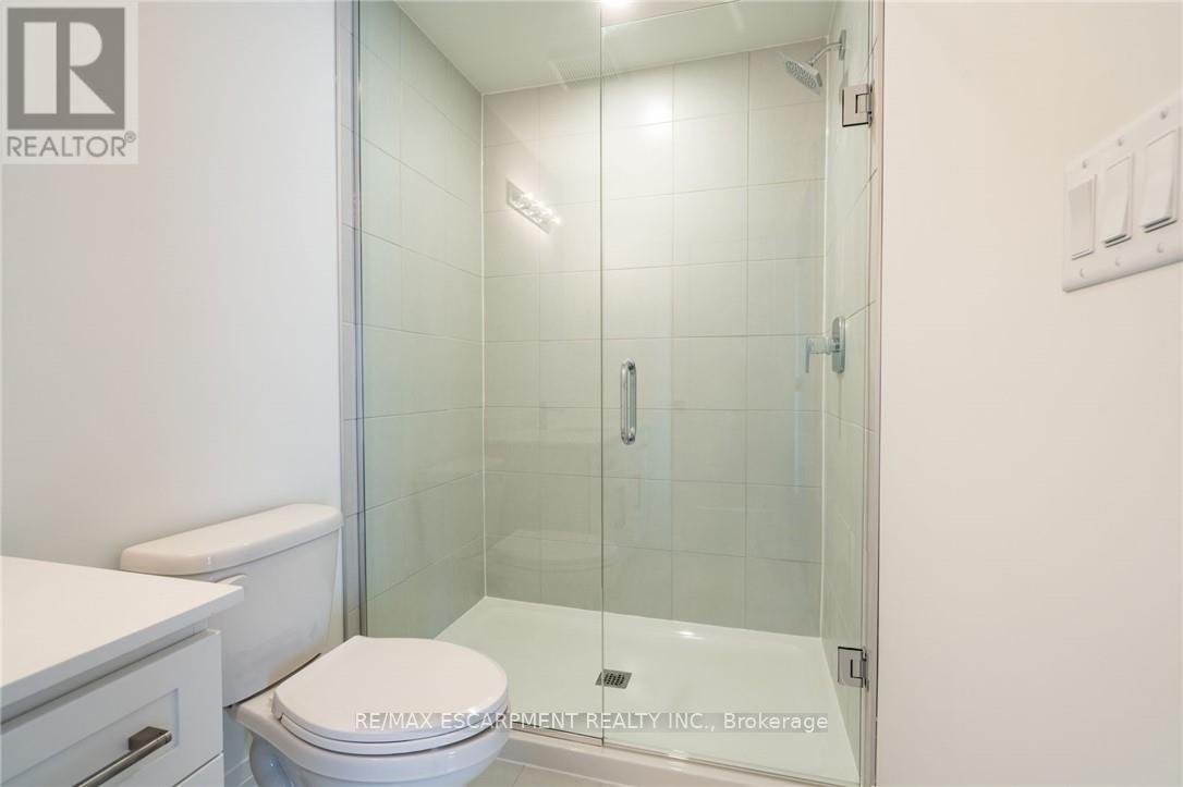 16 Clear Valley Lane, Hamilton, Ontario  L0R 1W0 - Photo 40 - X12697696