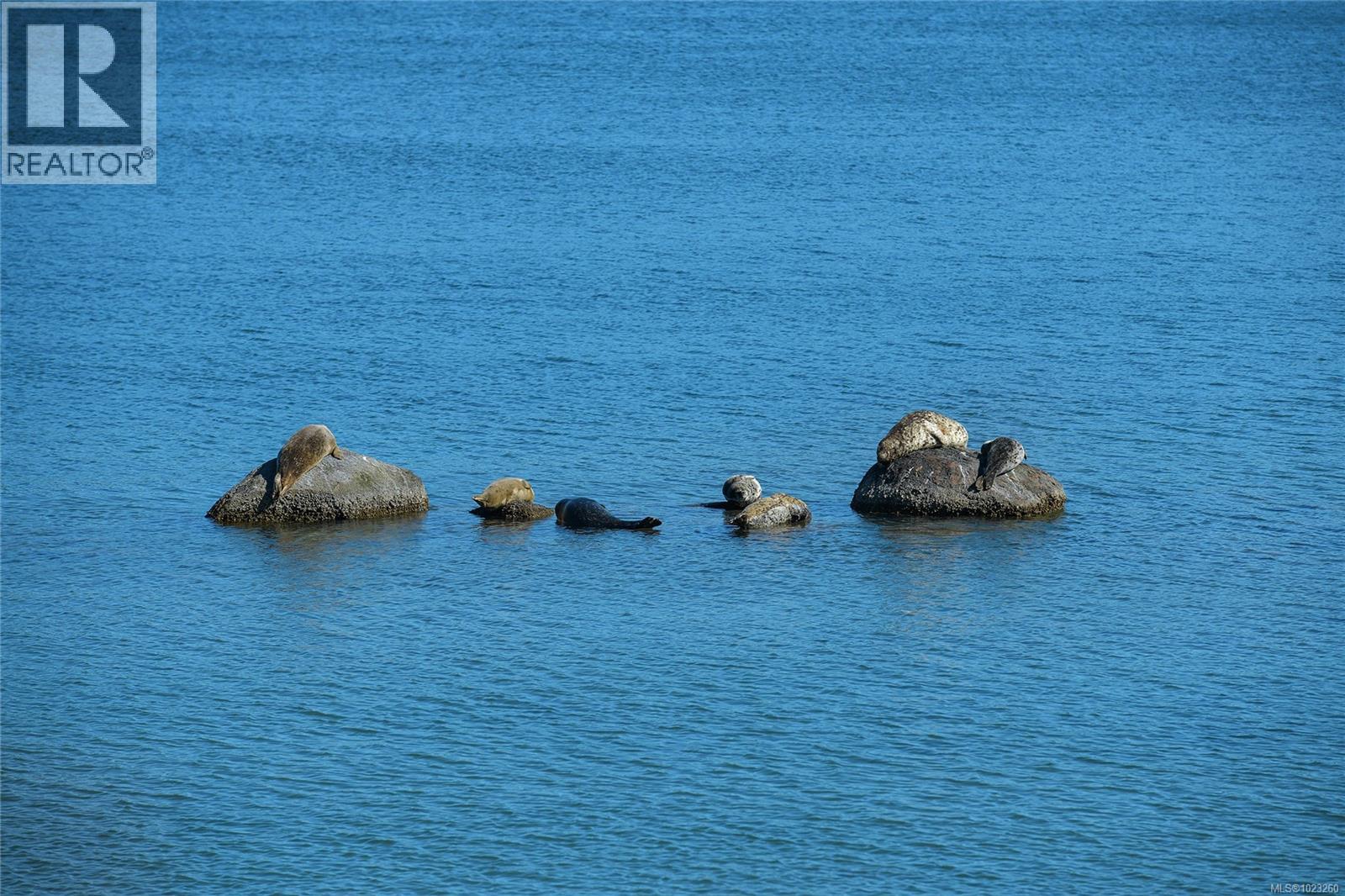 17 6995 Nordin Rd, Sooke, British Columbia  V9Z 1L4 - Photo 69 - 1023260