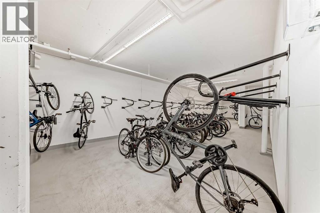 206, 110 18a Street Nw, Calgary, Alberta  T2N 5G5 - Photo 44 - A2277552