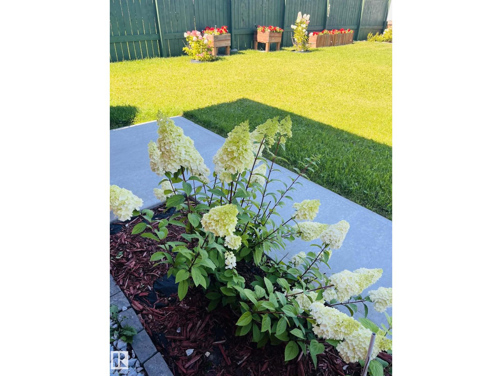 5216 53 Av, Clyde, Alberta  T0G 0P0 - Photo 10 - E4470061