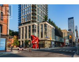 210 - 591 YONGE STREET, Toronto, Ontario