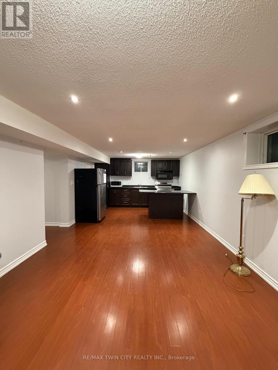 Basement - 239 Mcdougall Crossing, Milton, Ontario  L9T 0P3 - Photo 6 - W12697872