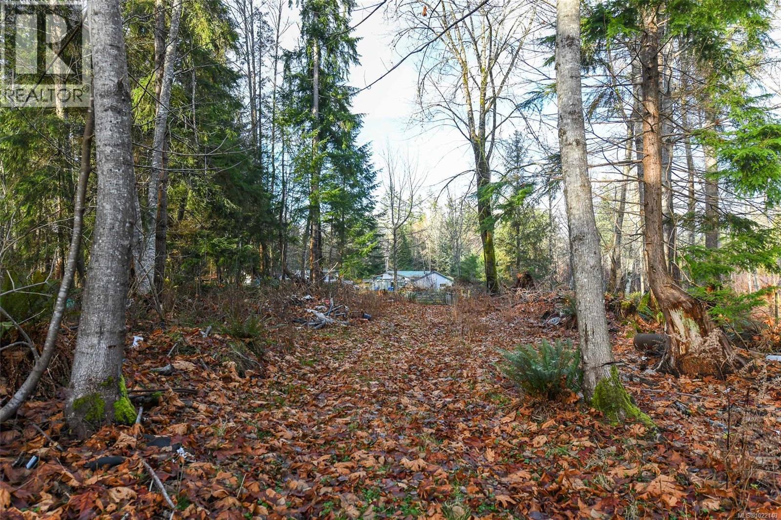 2795 Macaulay Rd, Black Creek, British Columbia  V9J 1B9 - Photo 12 - 1022140