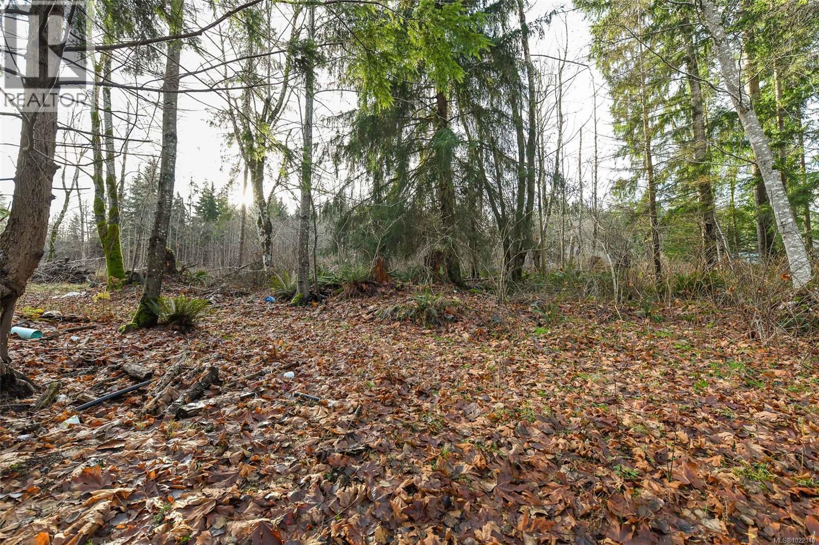 2795 Macaulay Rd, Black Creek, British Columbia  V9J 1B9 - Photo 13 - 1022140