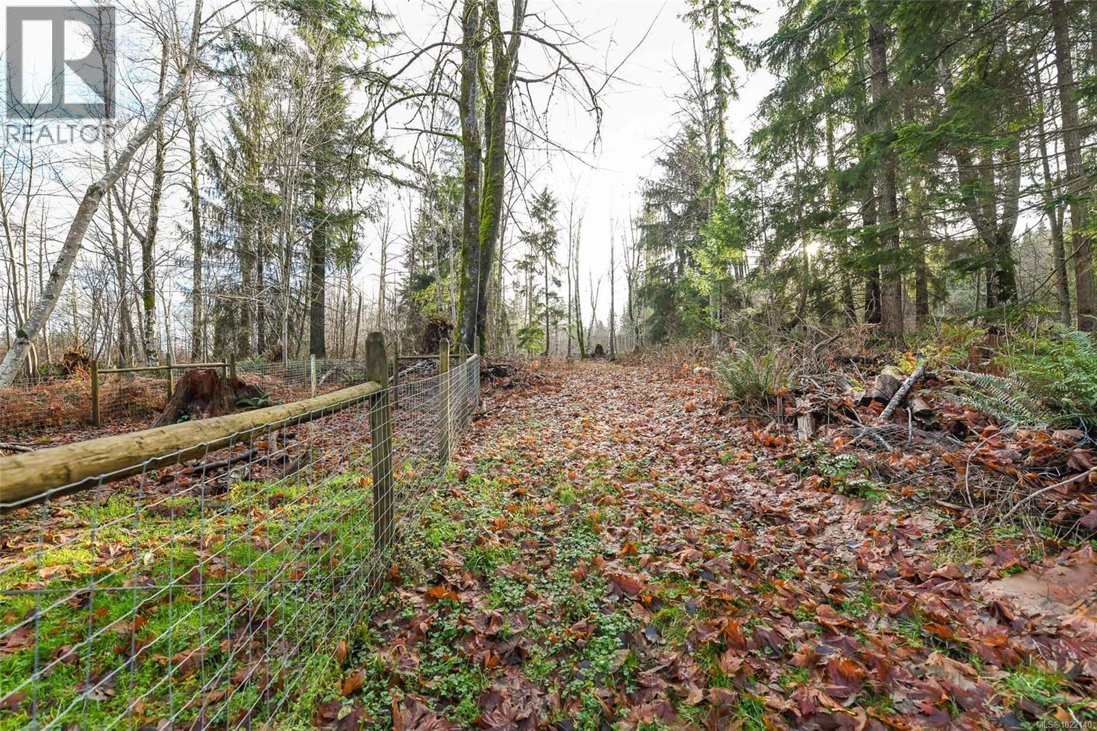 2795 Macaulay Rd, Black Creek, British Columbia  V9J 1B9 - Photo 14 - 1022140