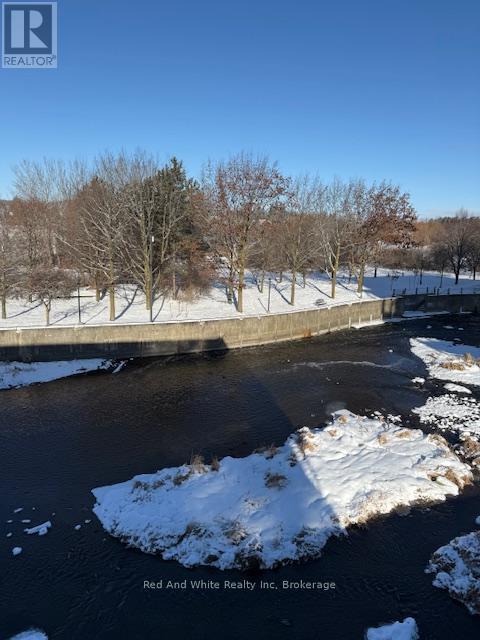 308 - 19 Guelph Avenue, Cambridge, Ontario N3C 1A2 - Photo 2 - X12698202