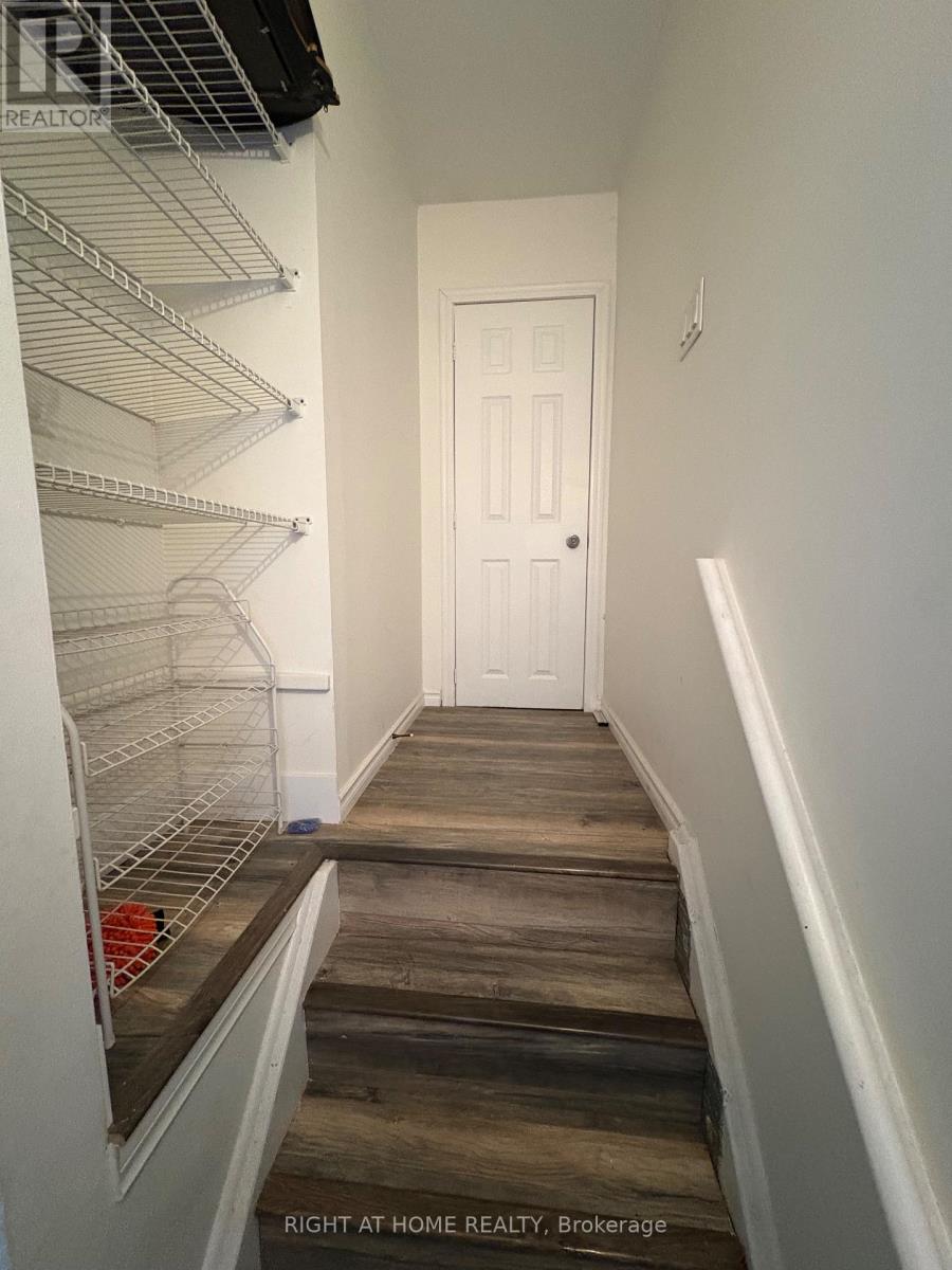 124 Avondale Blvd (Basement), Brampton, Ontario  L6T 1H7 - Photo 4 - W12698204