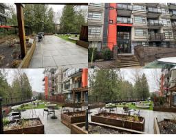113 5485 BRYDON CRESCENT, Langley, British Columbia
