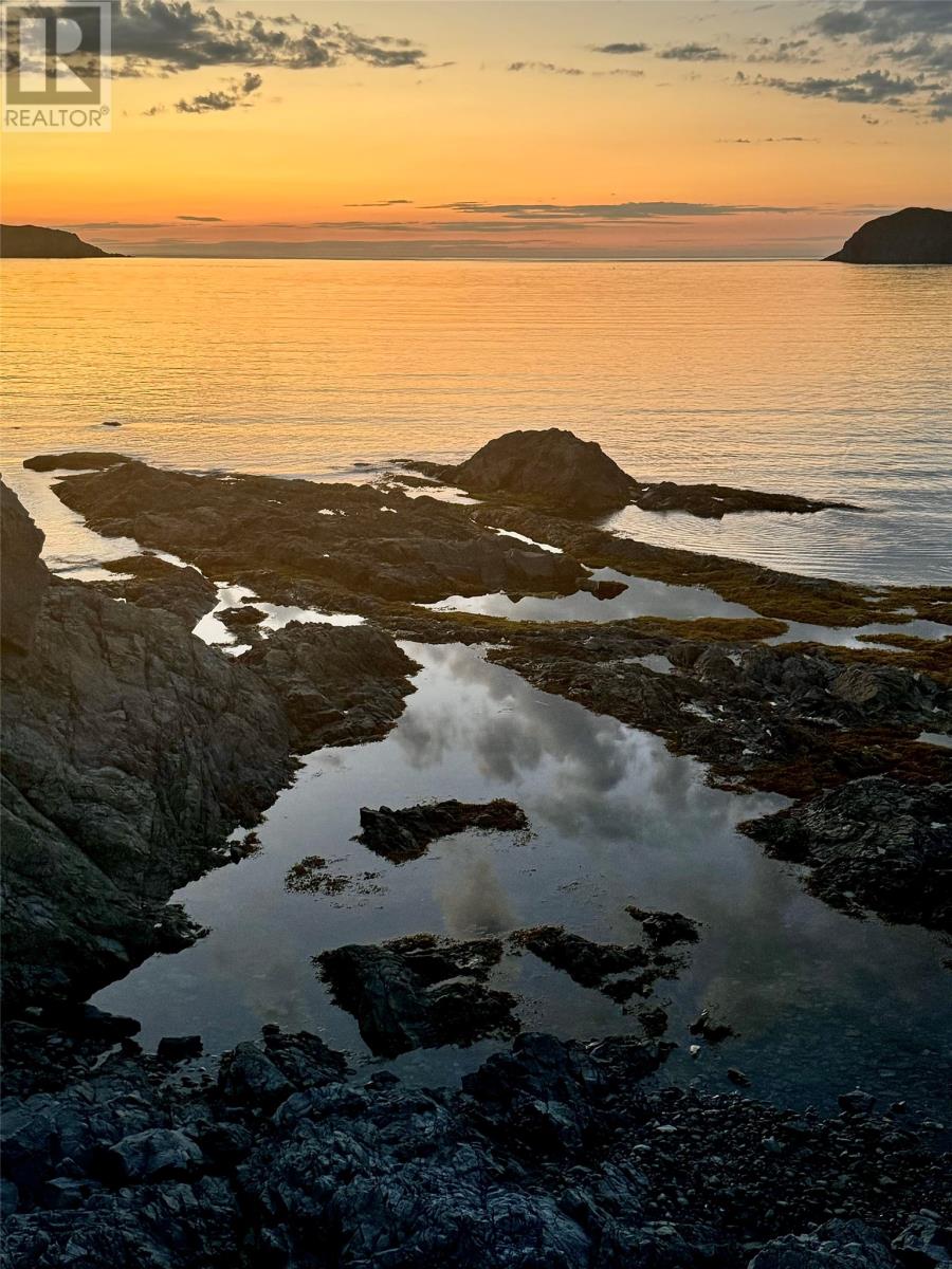 8a Carter's Head Road, Twillingate, Newfoundland & Labrador  A0G 1Y0 - Photo 6 - 1293766