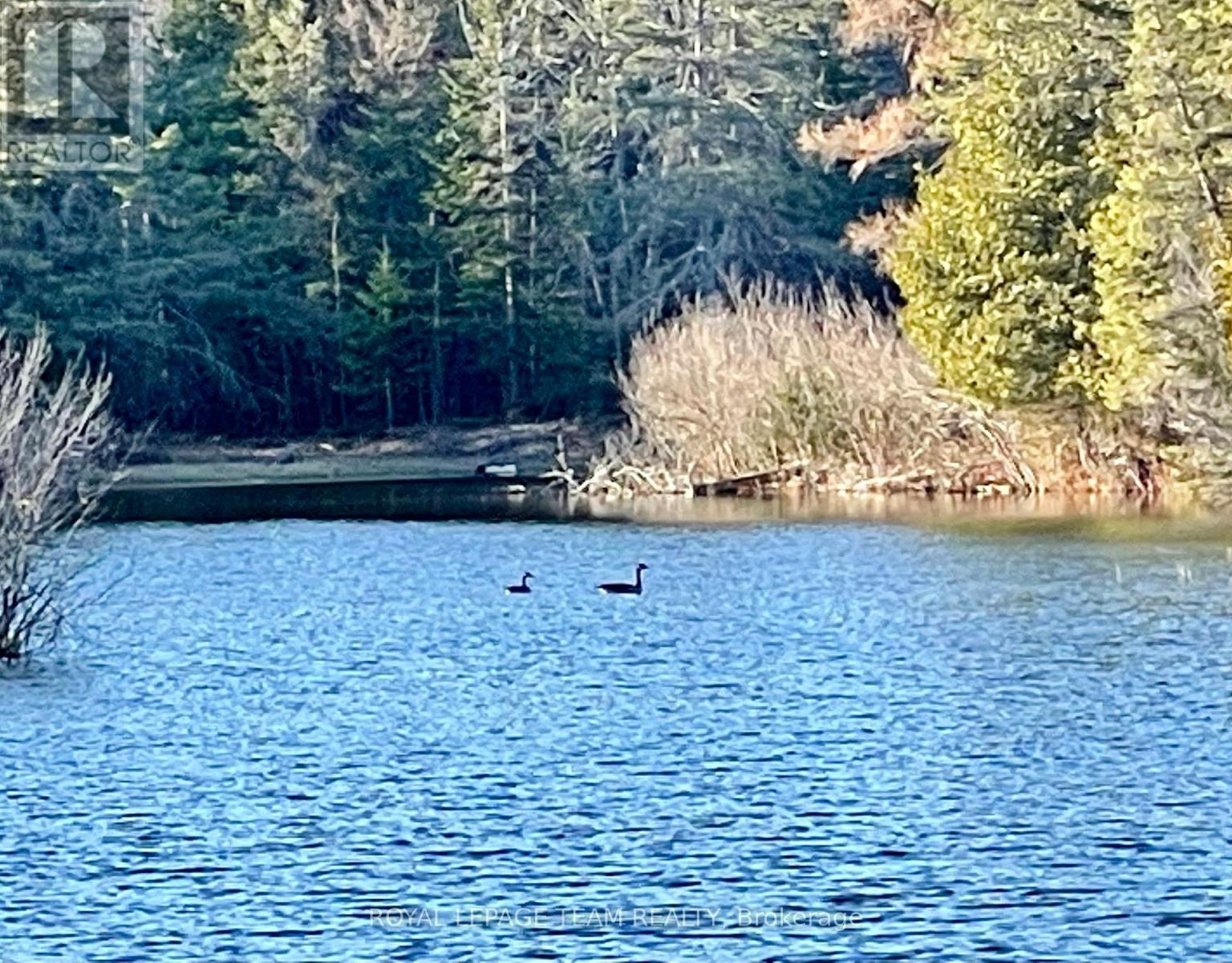 4265 Roger Stevens Drive, Ottawa, Ontario  K7A 4S6 - Photo 45 - X12698300