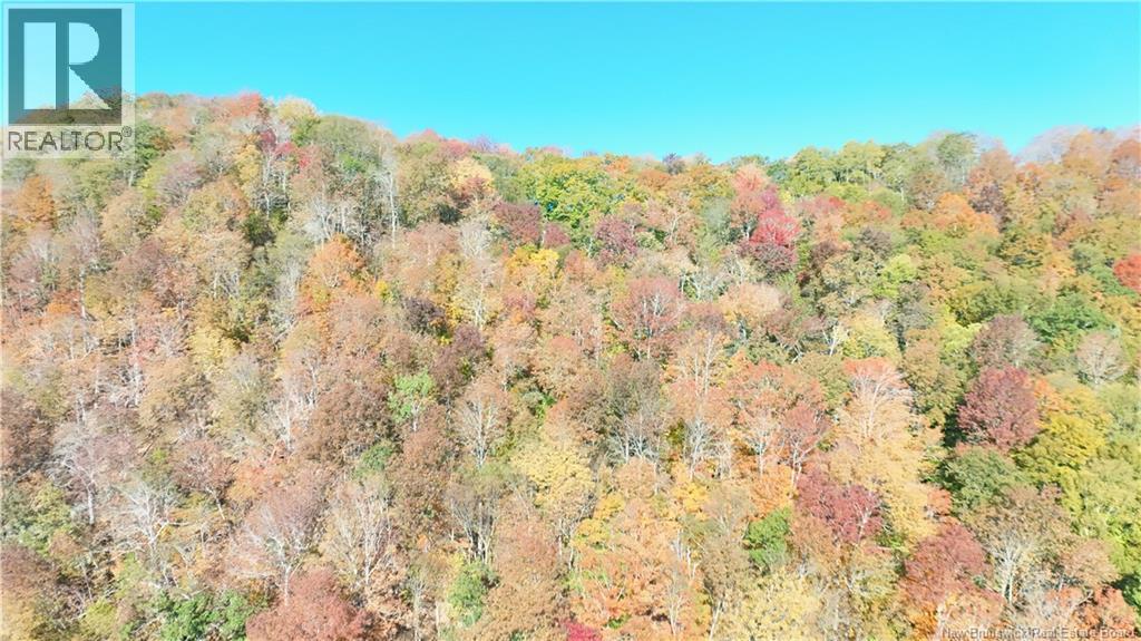 Norton Shore, Kingston, New Brunswick  E5N 2A5 - Photo 6 - NB132153