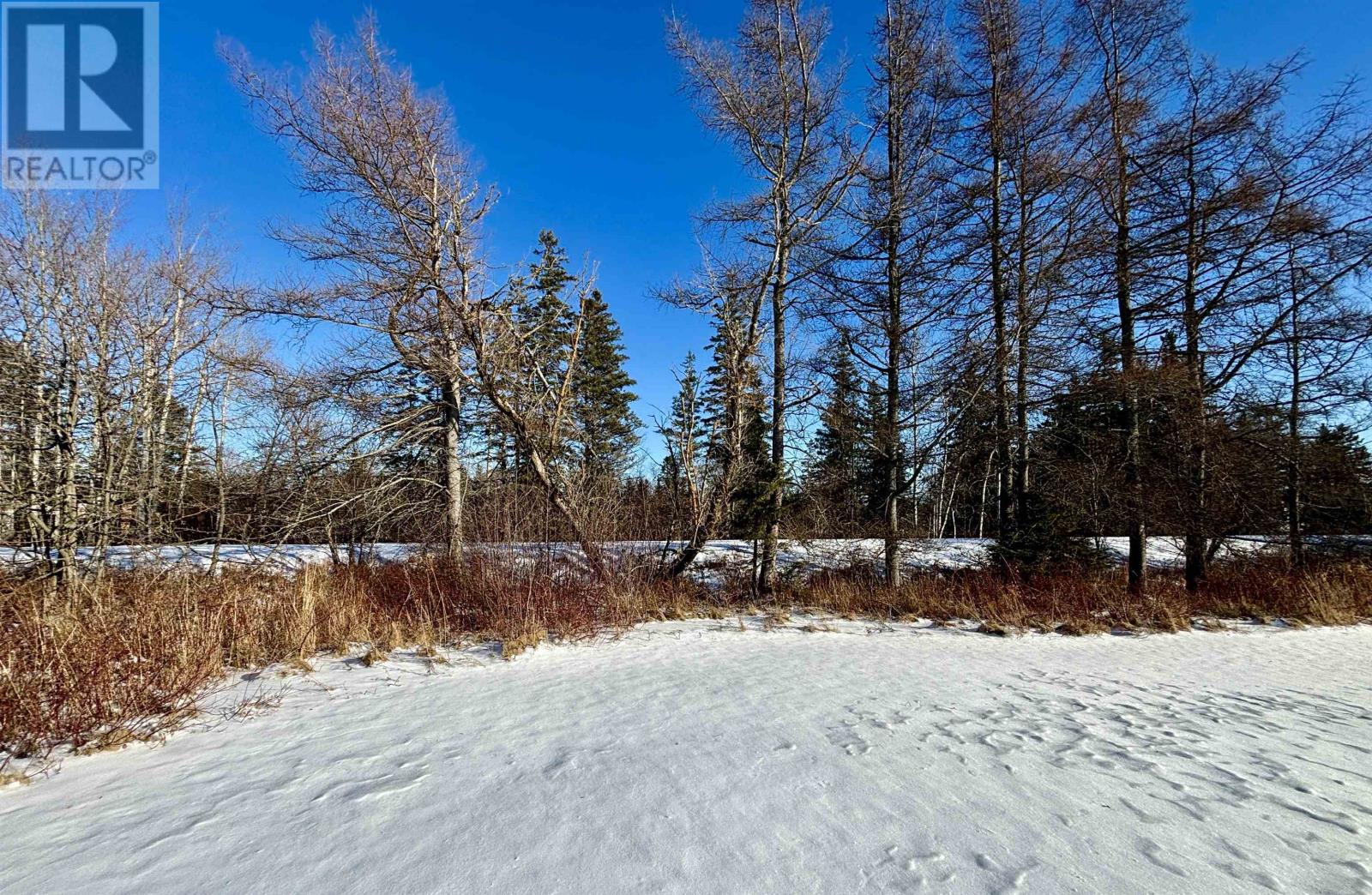 32 Mill Road, Wellington, Prince Edward Island  C0B 2E0 - Photo 4 - 202600796