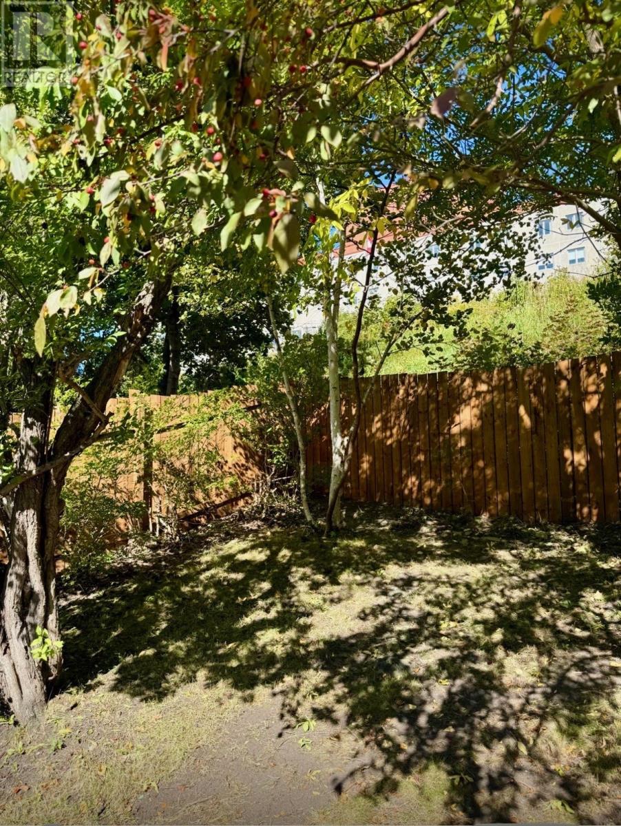 81 West Valley Road, Corner Brook, Newfoundland & Labrador   - Photo 41 - 1293529