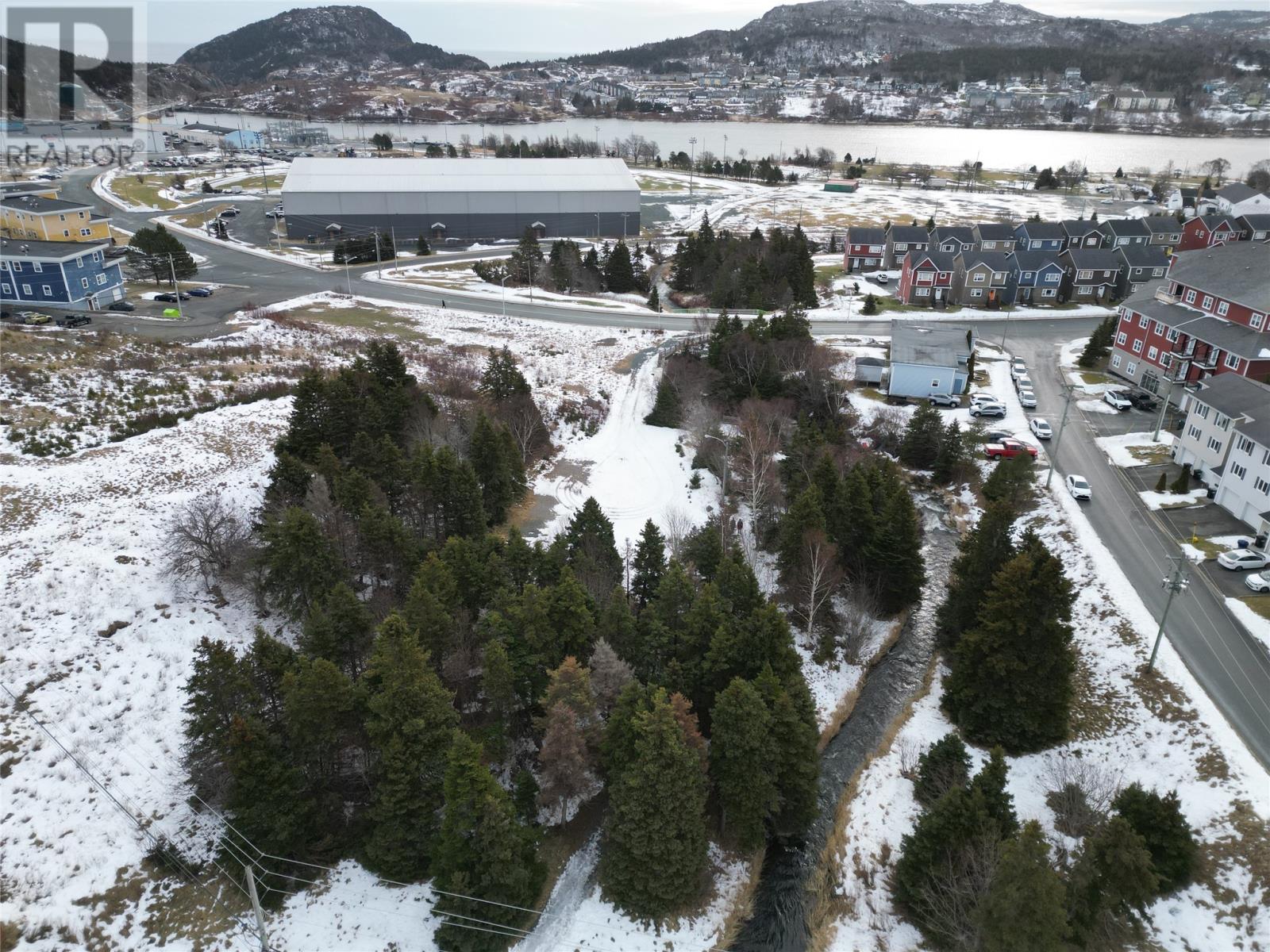 71 Charter Avenue, St. John's, Newfoundland & Labrador  A1A 0S6 - Photo 36 - 1293722