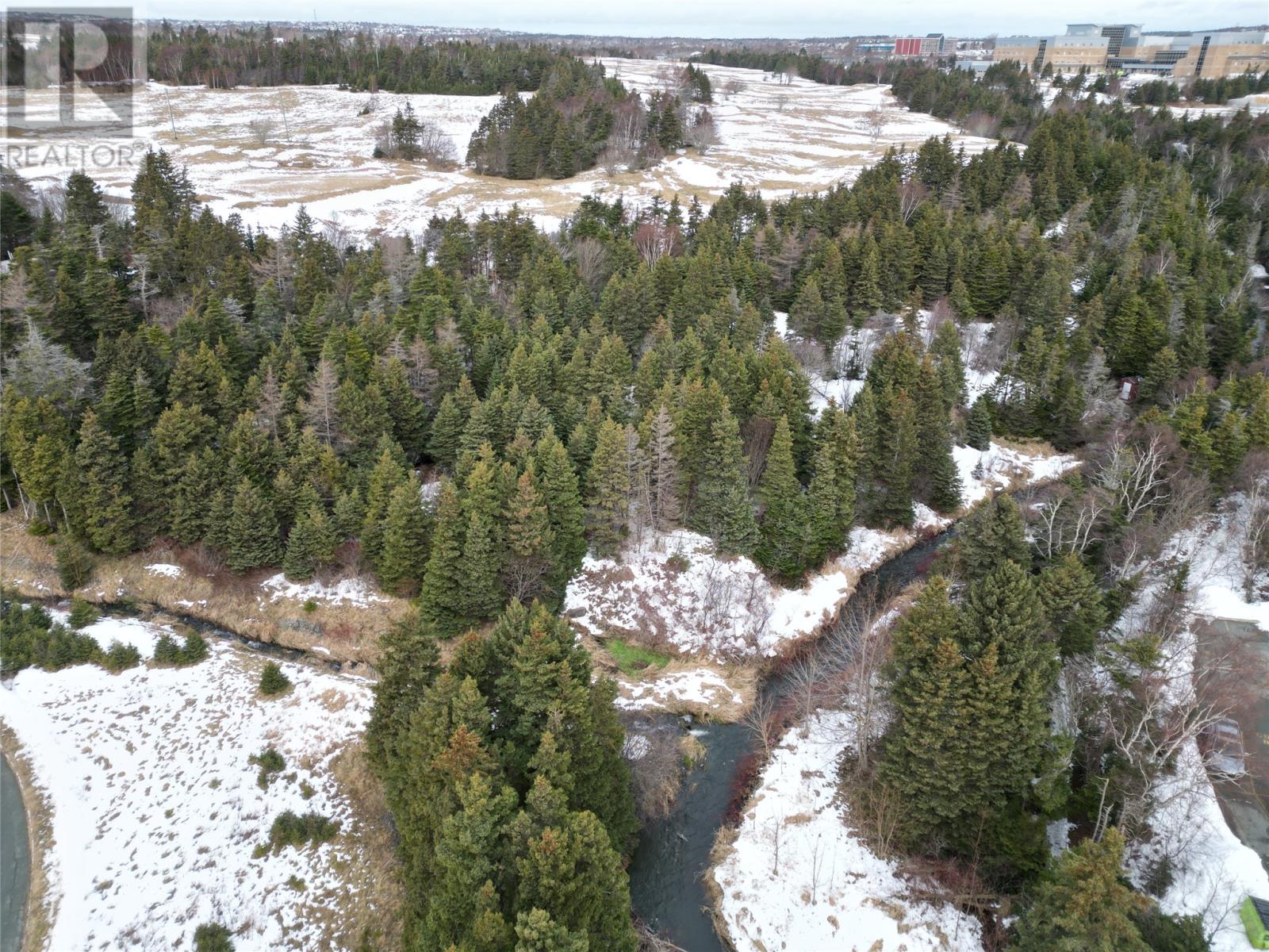 71 Charter Avenue, St. John's, Newfoundland & Labrador  A1A 0S6 - Photo 35 - 1293722