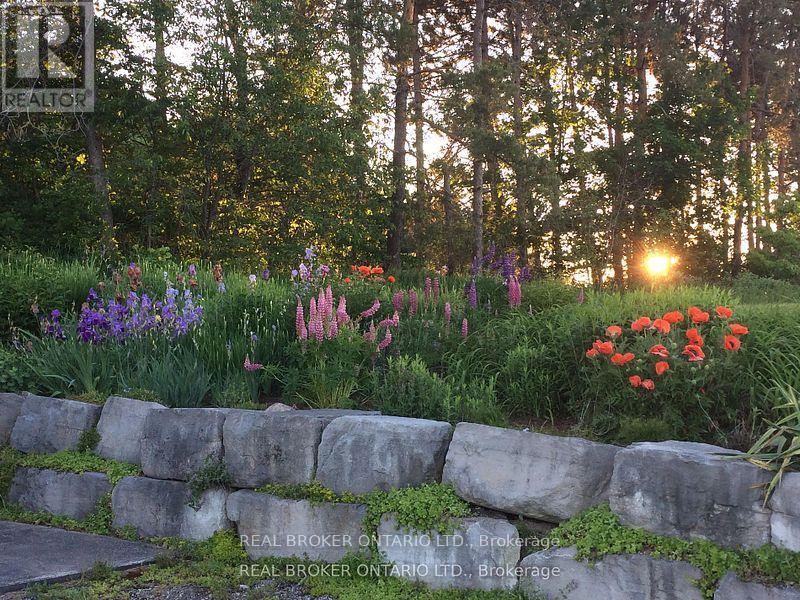 3 - 213 Horseshoe Valley Road, Oro-Medonte, Ontario  L0K 1E0 - Photo 15 - S12698428