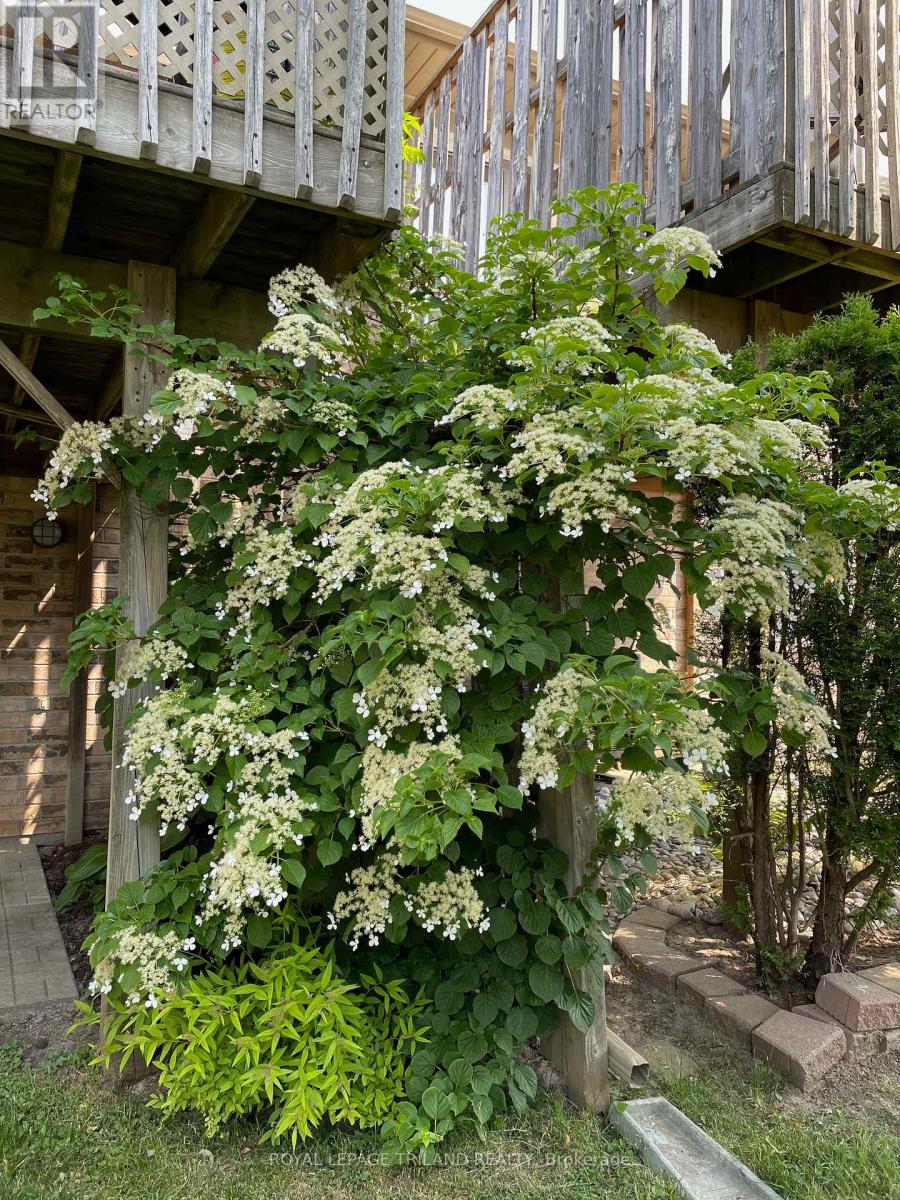 79 - 1241 Beaverbrook Avenue, London North, Ontario  N6H 5P1 - Photo 50 - X12698460