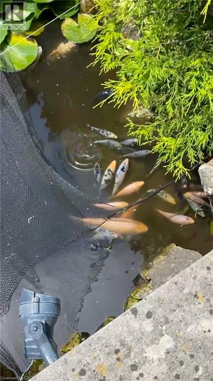 265 Windy Oaks Drive, Mississauga, Ontario  L5G 1Z8 - Photo 48 - 40793005