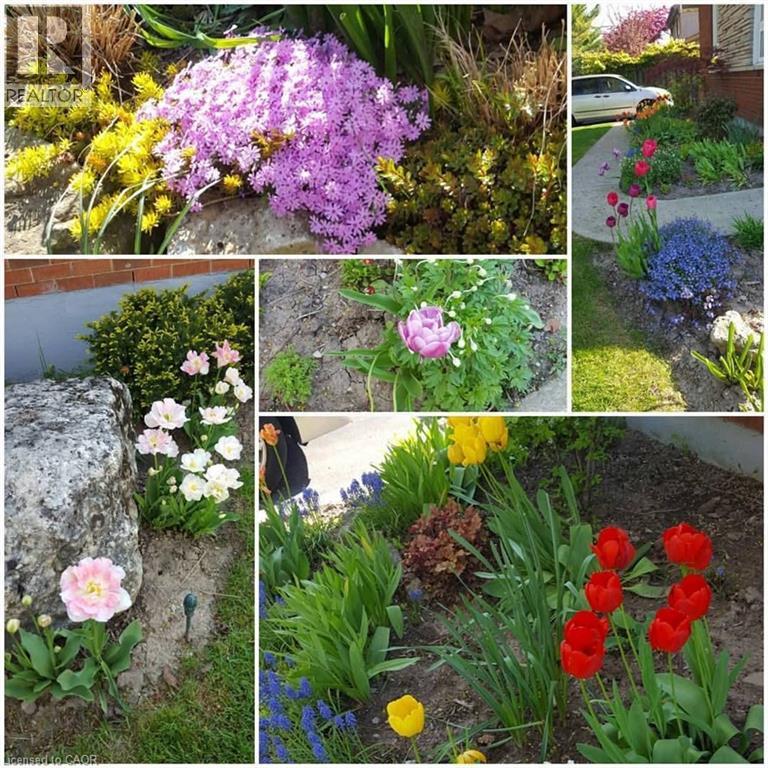 22 Redwing Road, Hamilton, Ontario  L9A 3Y9 - Photo 41 - 40794530