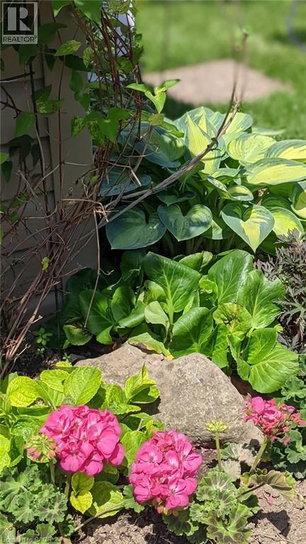 22 Redwing Road, Hamilton, Ontario  L9A 3Y9 - Photo 43 - 40794530