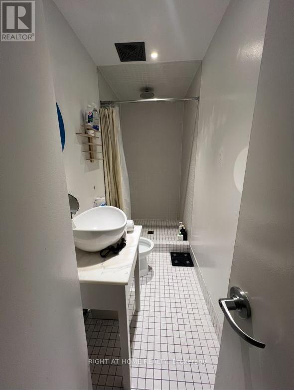 305 - 32 Stewart Street, Toronto, Ontario  M5V 1H6 - Photo 12 - C12695810